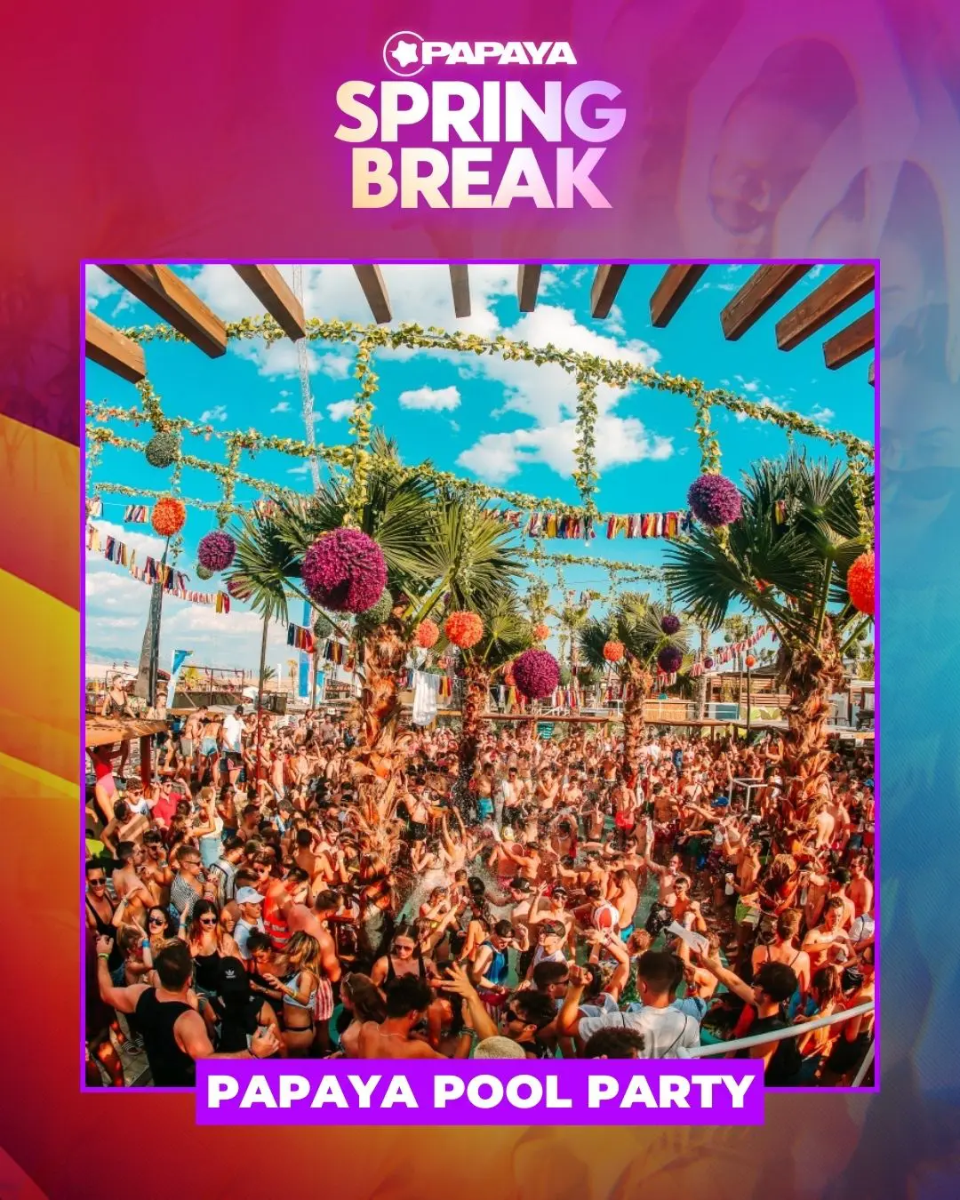 papaya-springbreak-program5