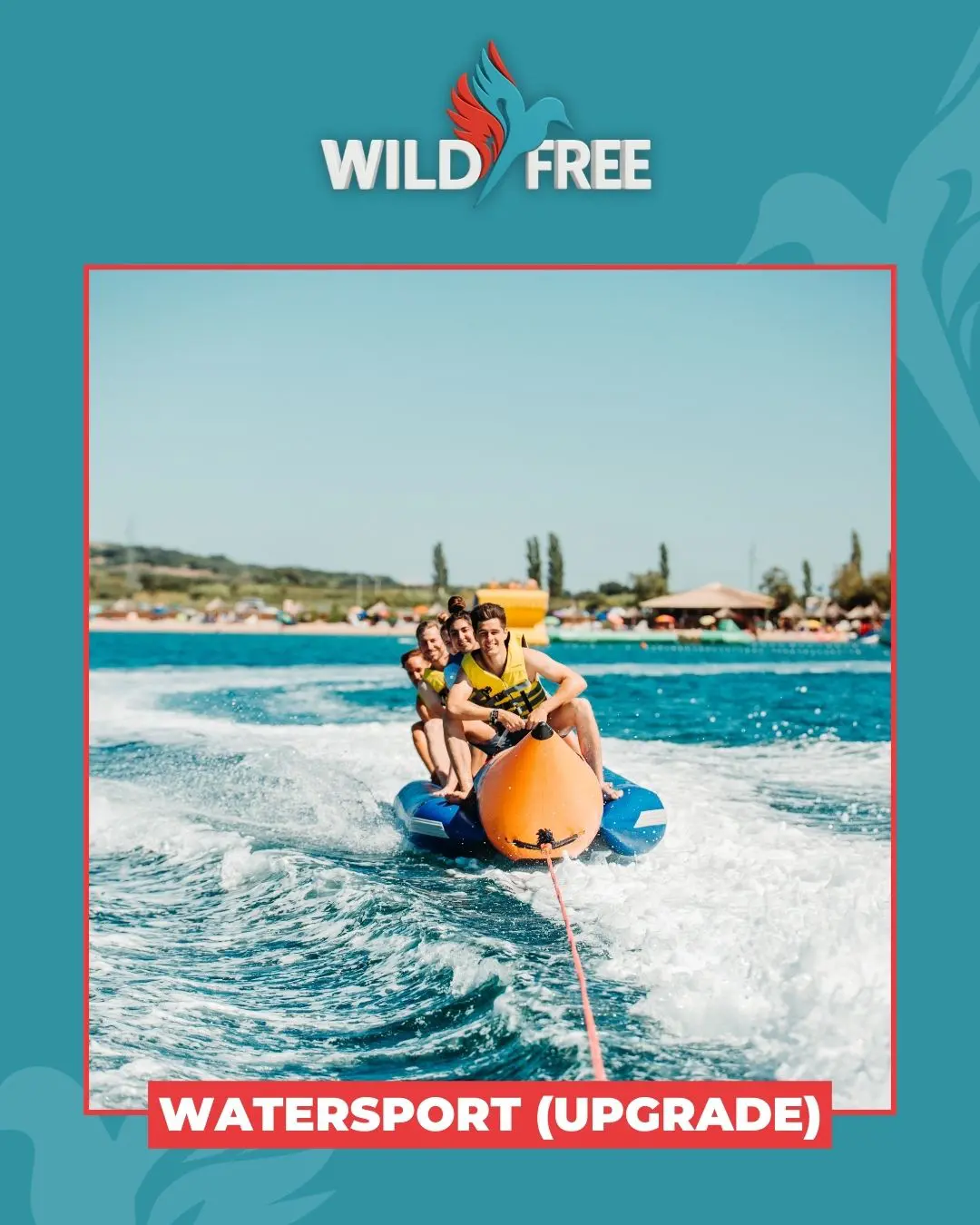 wildfree-springbreak-5