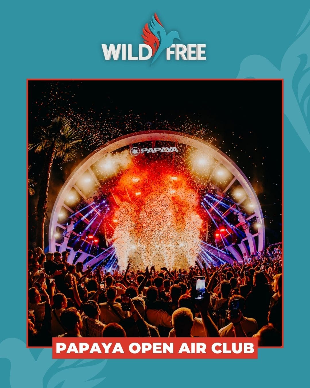 wildfree-springbreak-1