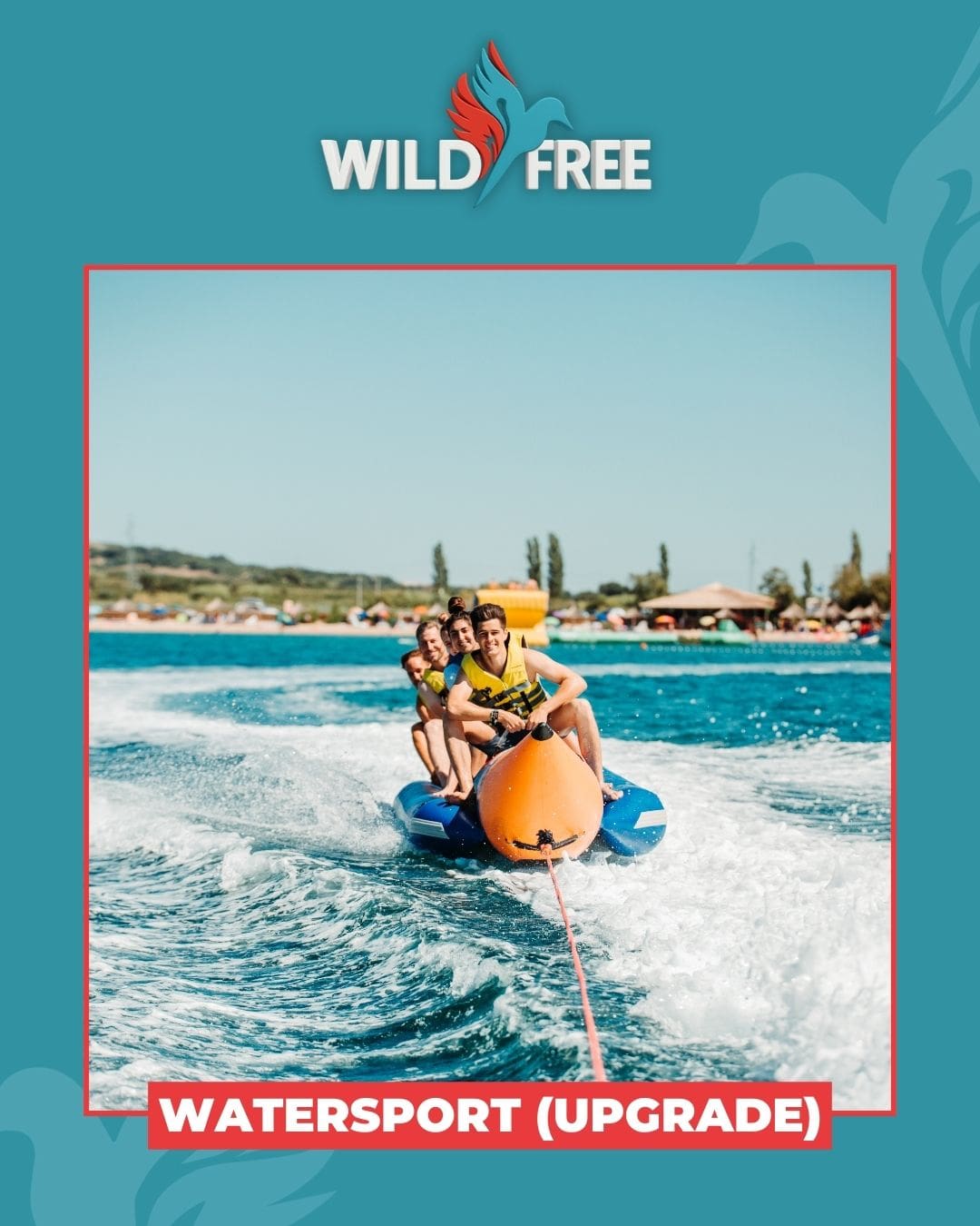 wildfree-springbreak-5