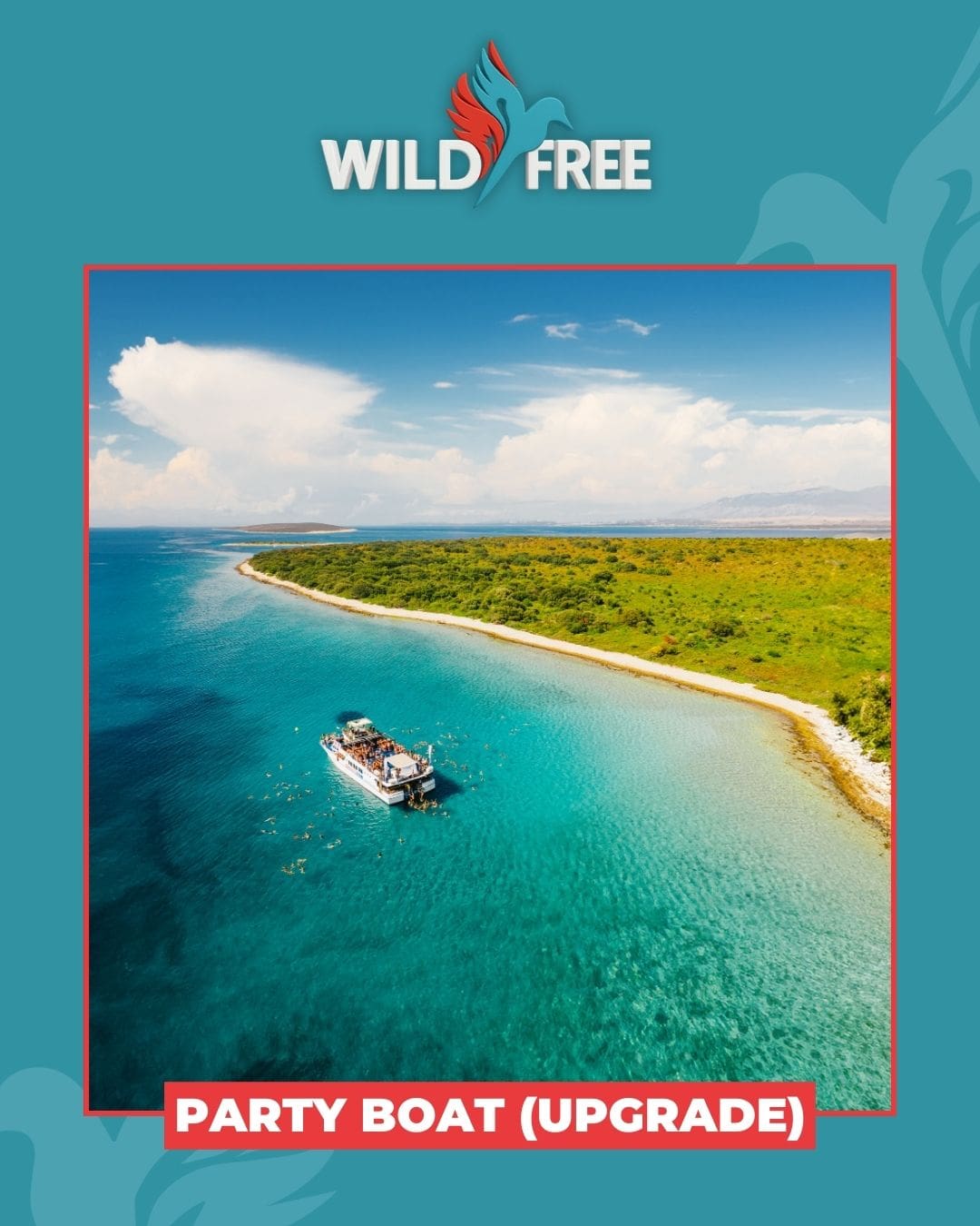 wildfree-springbreak-7