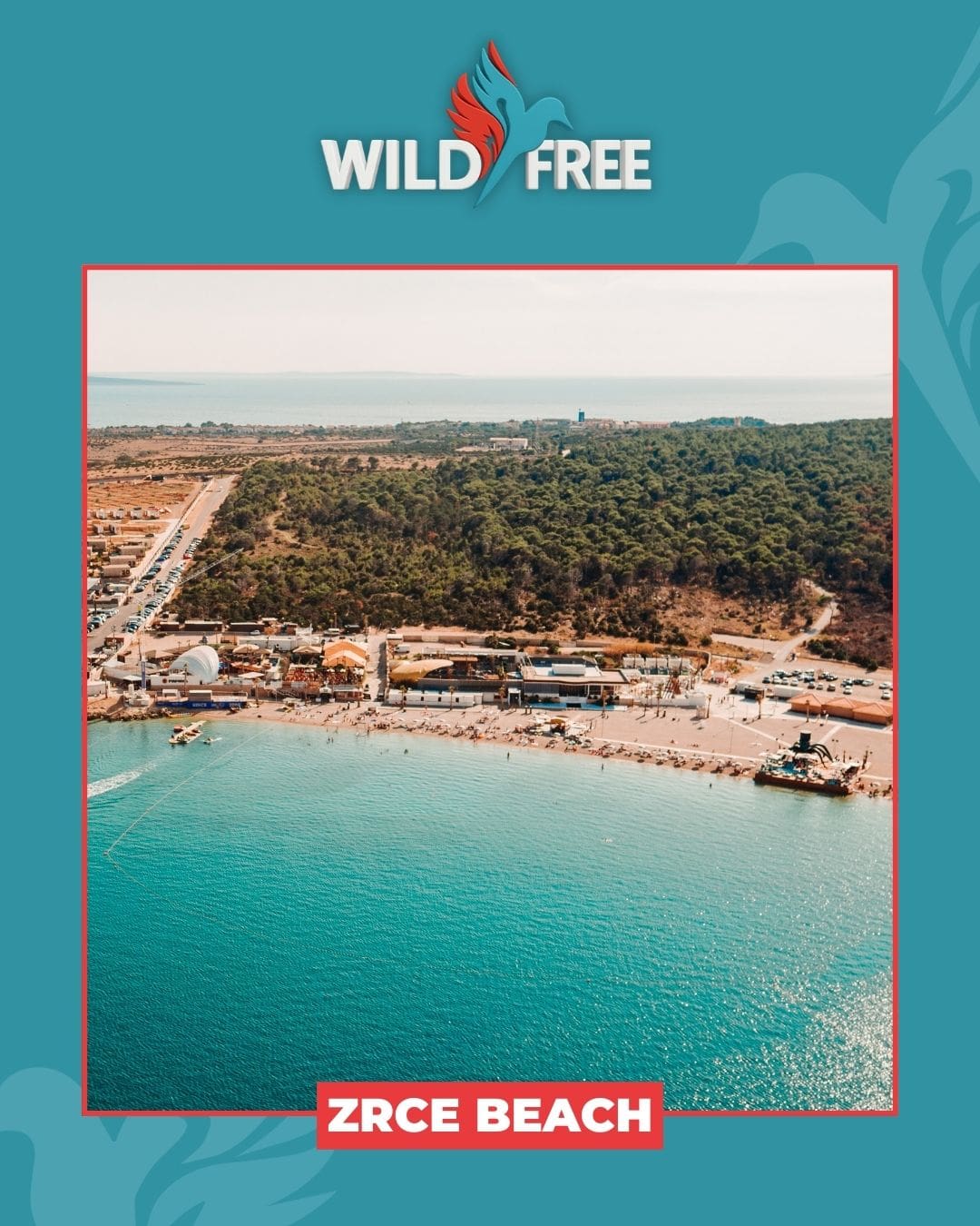 wildfree-springbreak-9